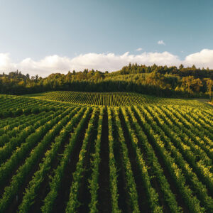 Agricultura